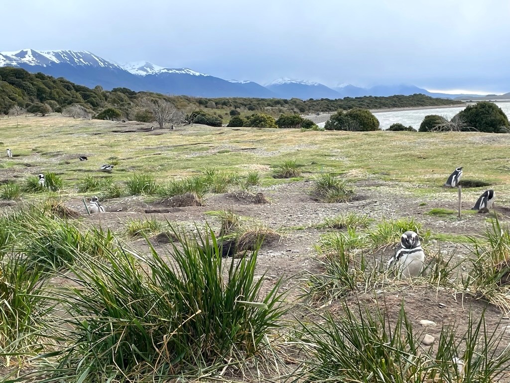Argentina 2022 — photo 321