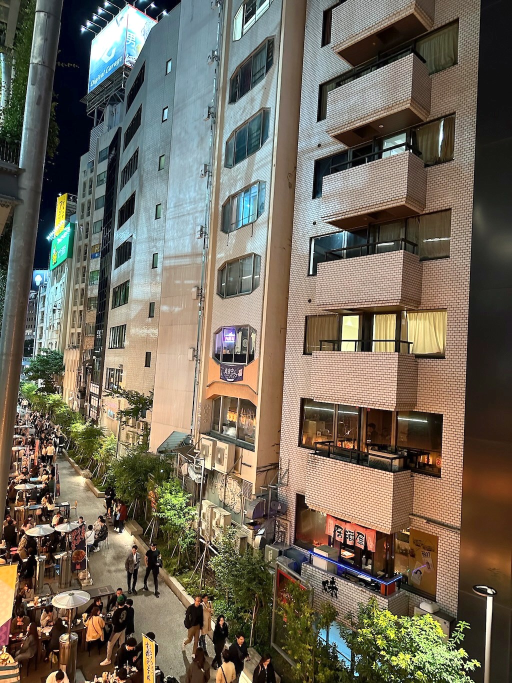 Japan 2023 — photo 217