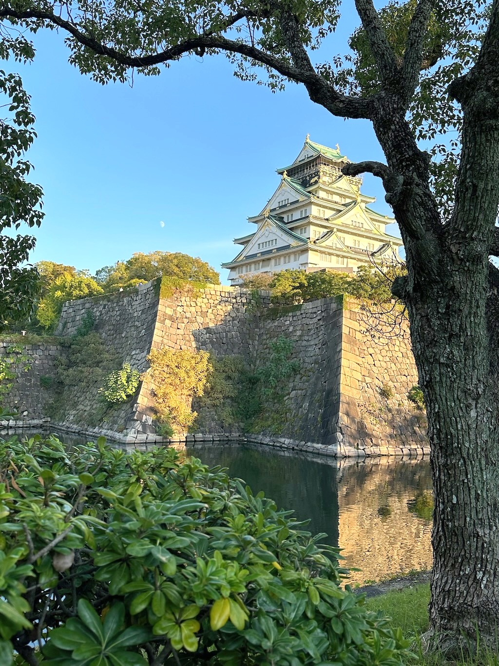 Japan 2023 — photo 279