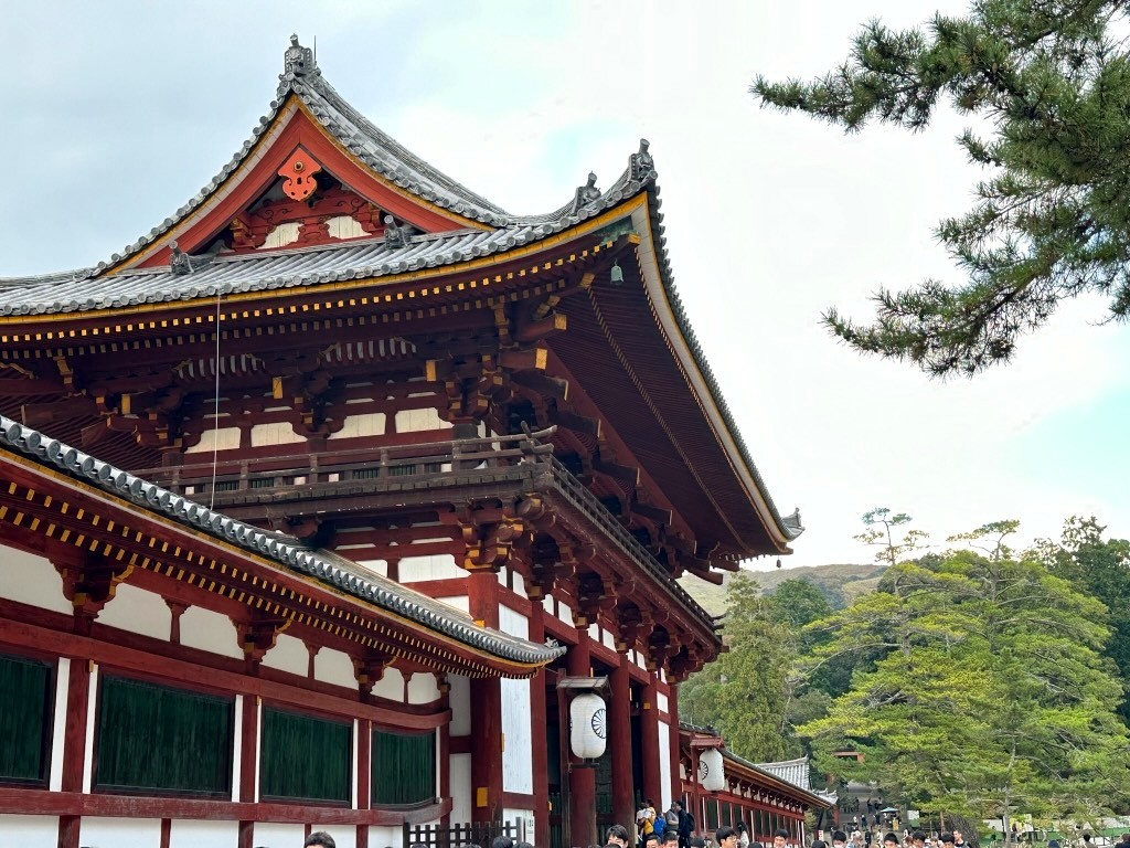 Japan 2023 — photo 314