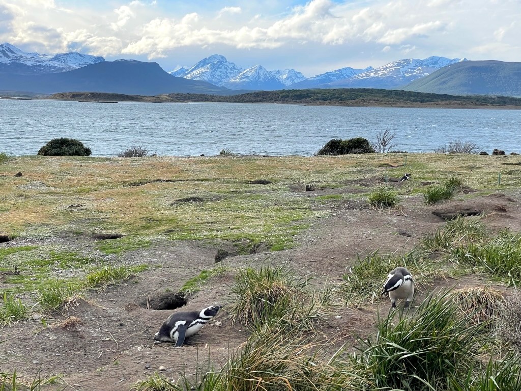 Argentina 2022 — photo 327