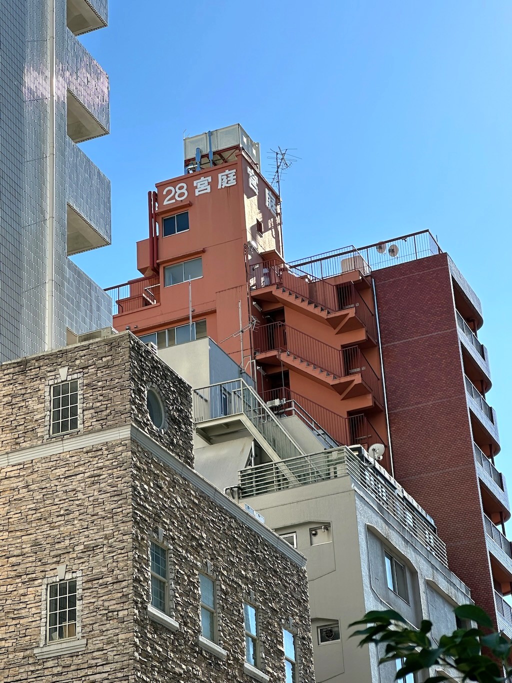 Japan 2023 — photo 184