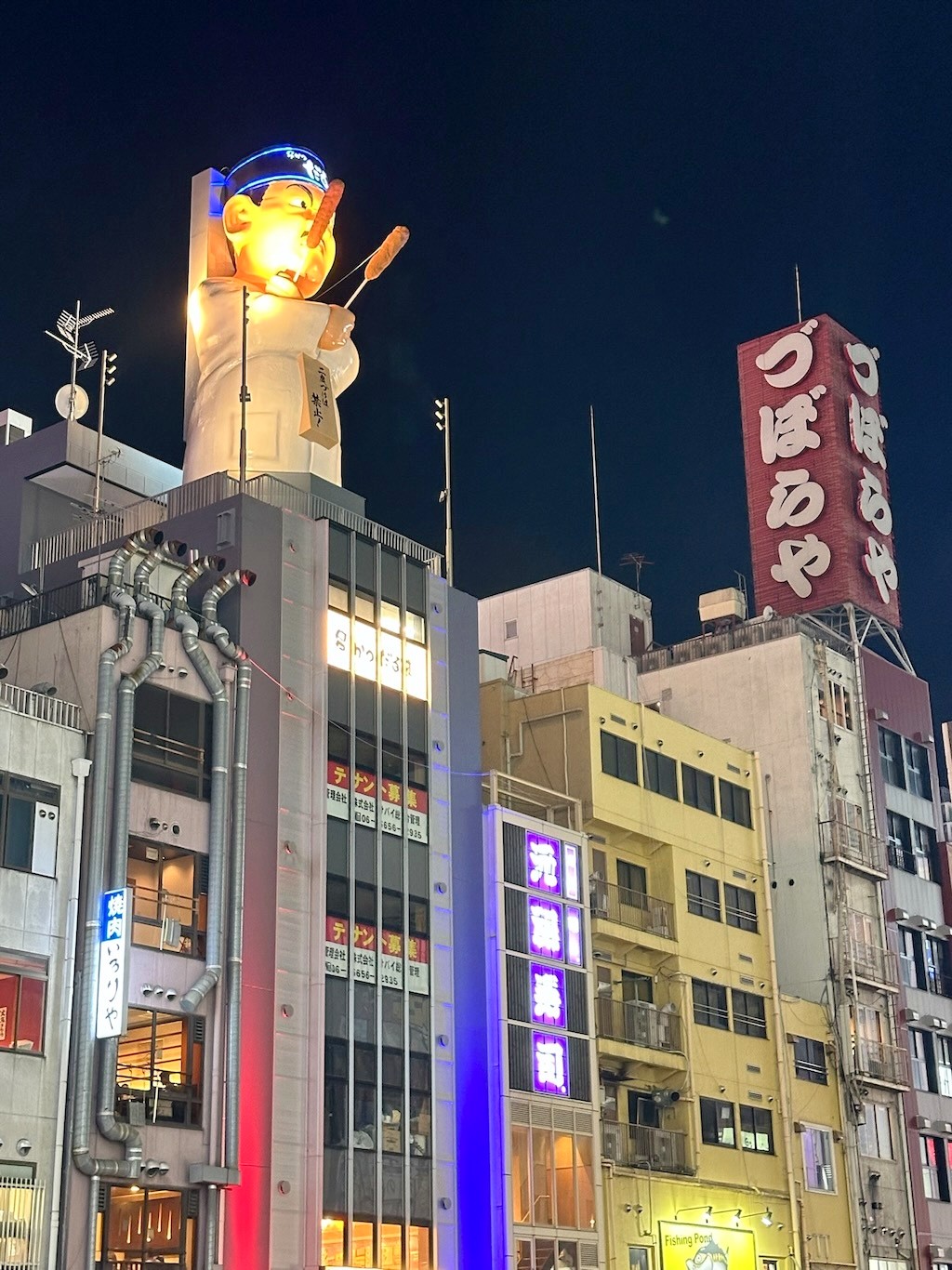 Japan 2023 — photo 231