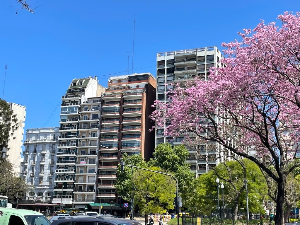 Argentina 2022 — photo 37