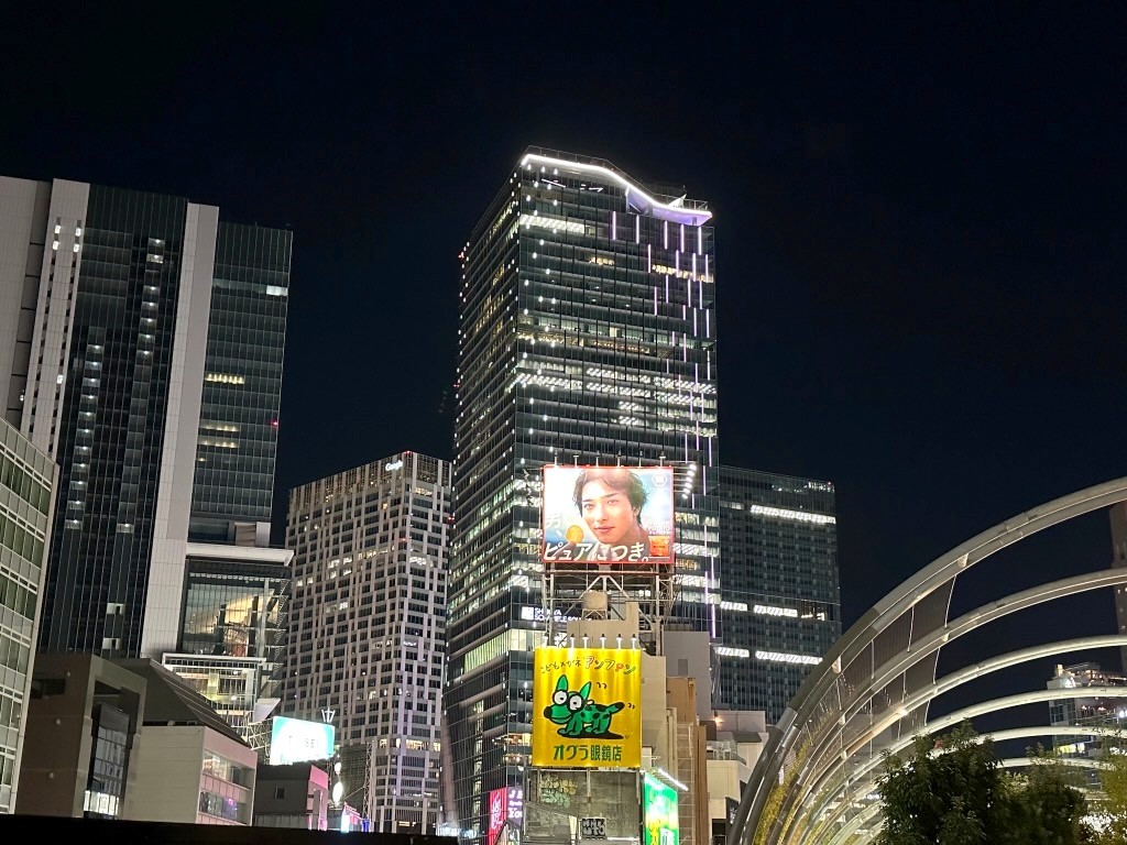 Japan 2023 — photo 212