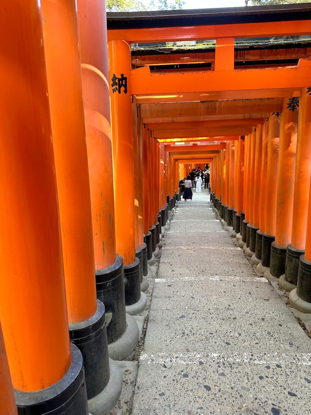 Japan 2023 — photo 350
