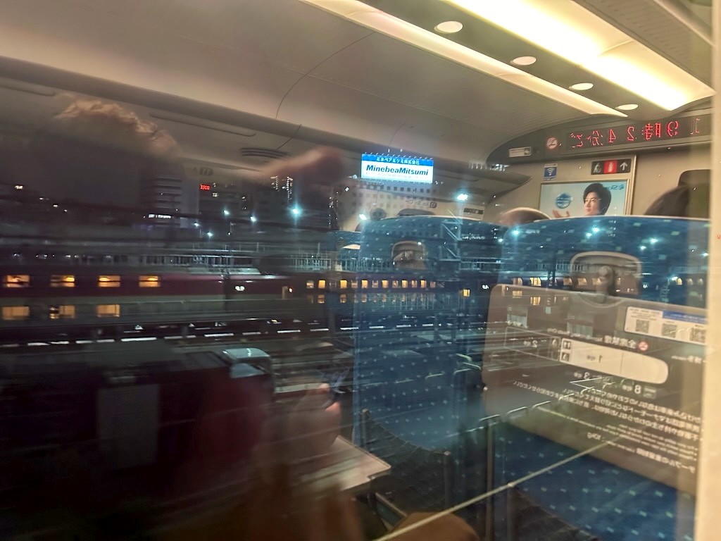 Japan 2023 — photo 172