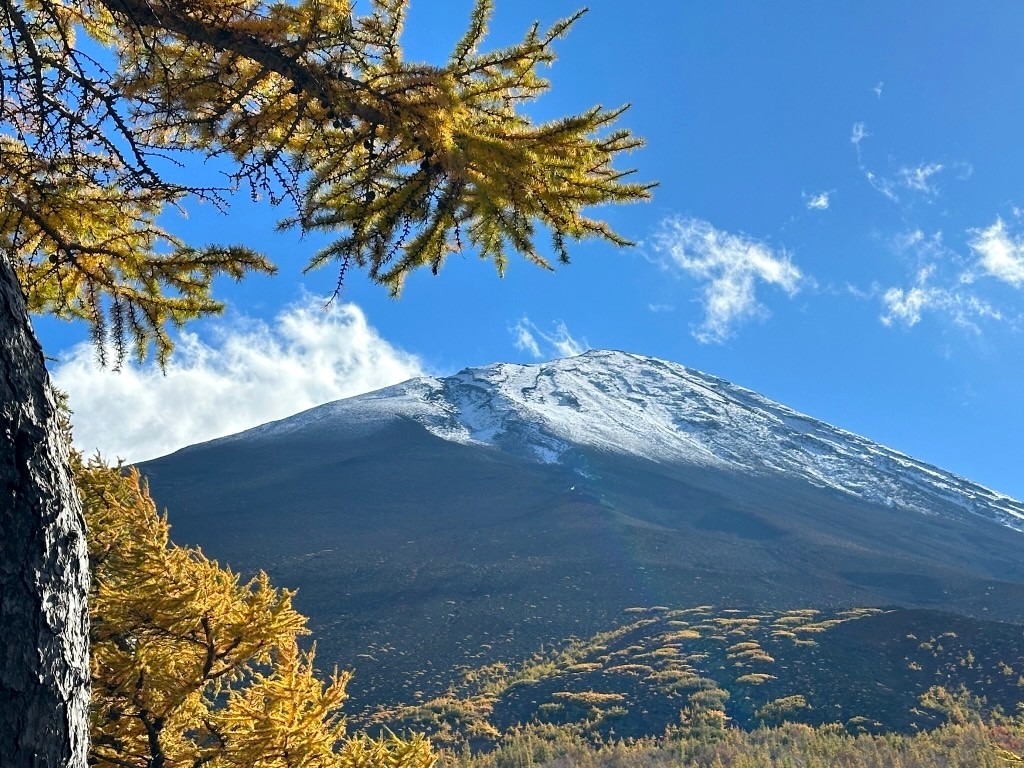 Japan 2023 — photo 150