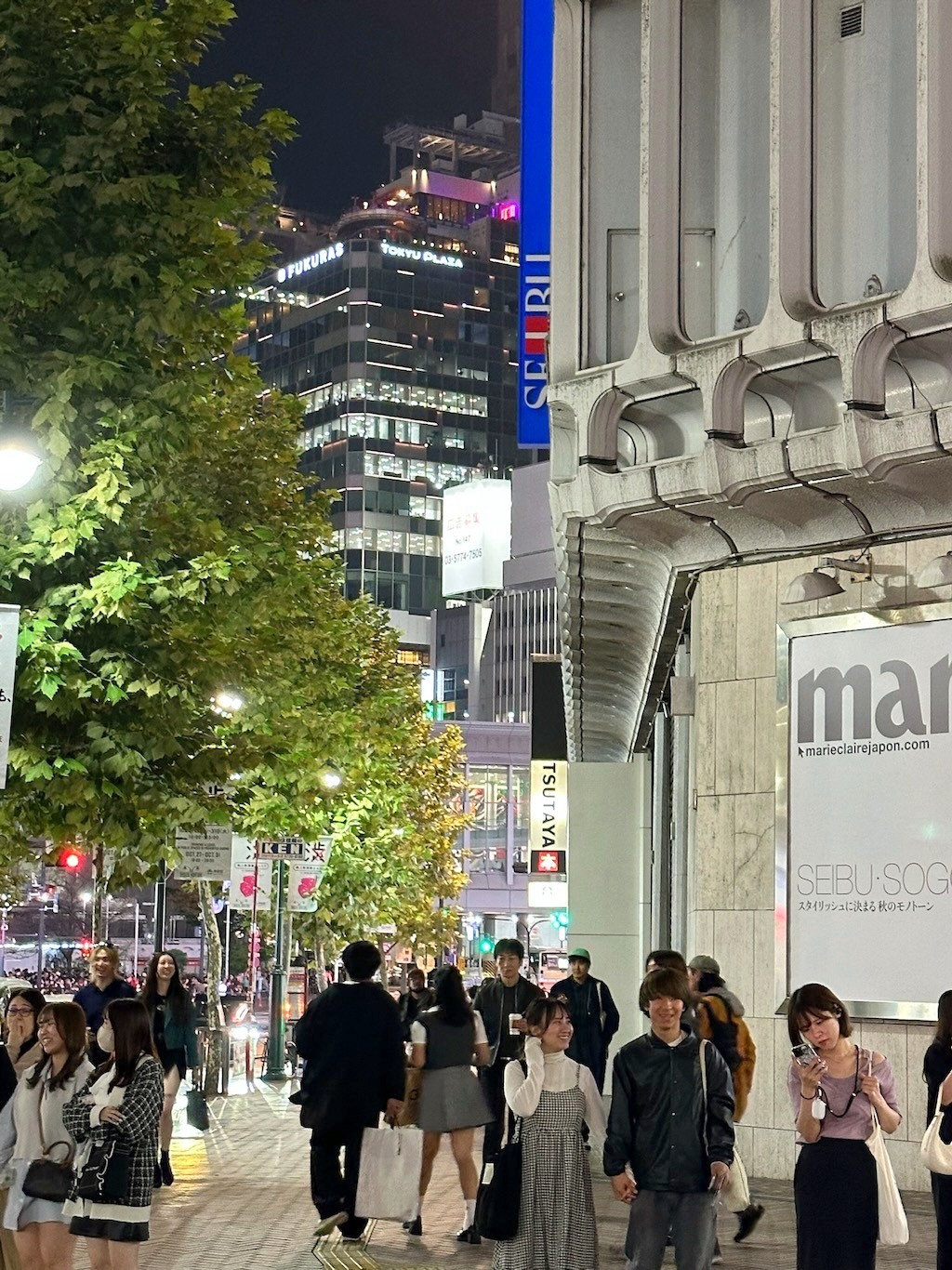 Japan 2023 — photo 27
