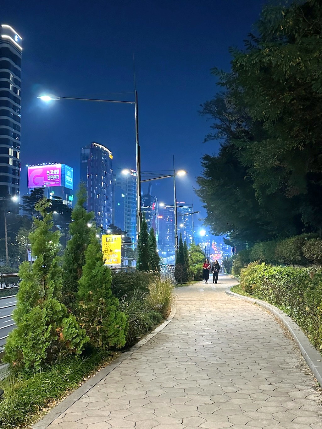 Japan 2023 — photo 417