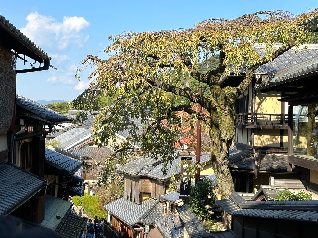 Japan 2023 — photo 367