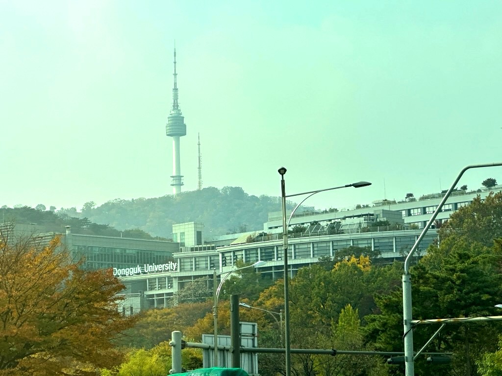 Japan 2023 — photo 421