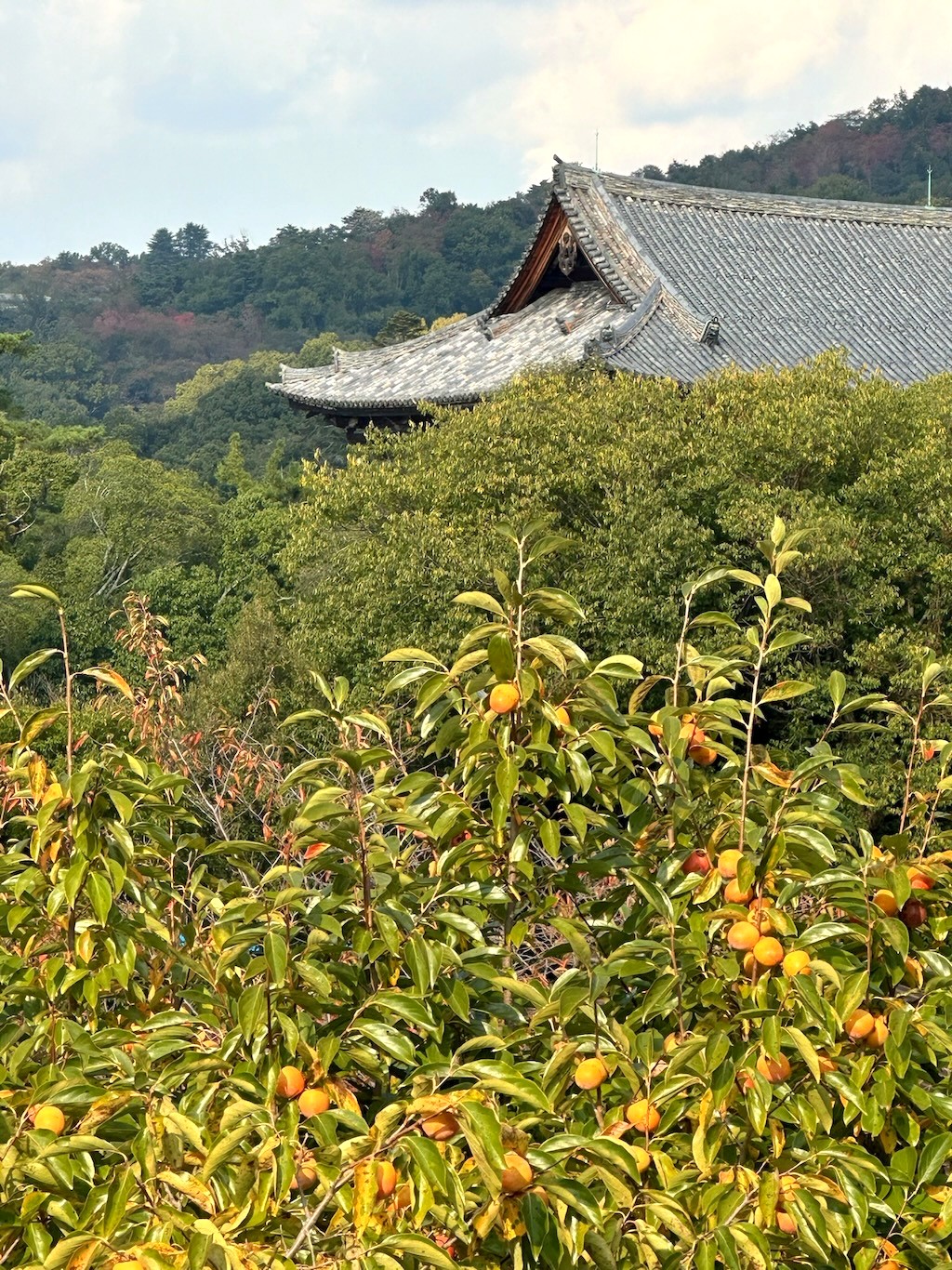 Japan 2023 — photo 302