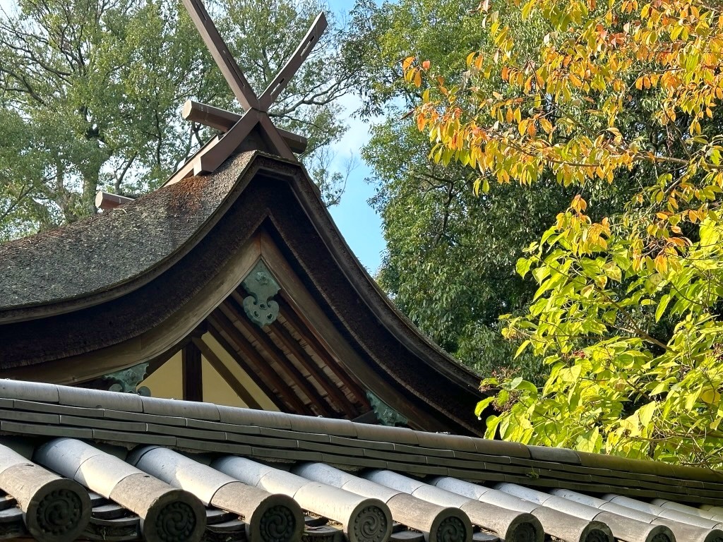 Japan 2023 — photo 300