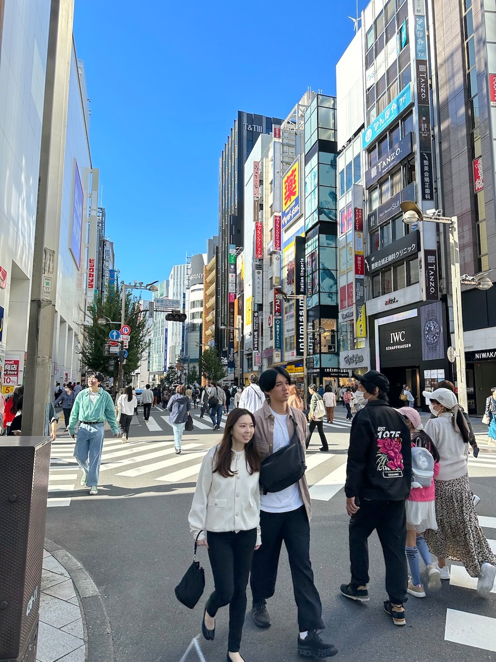 Japan 2023 — photo 182