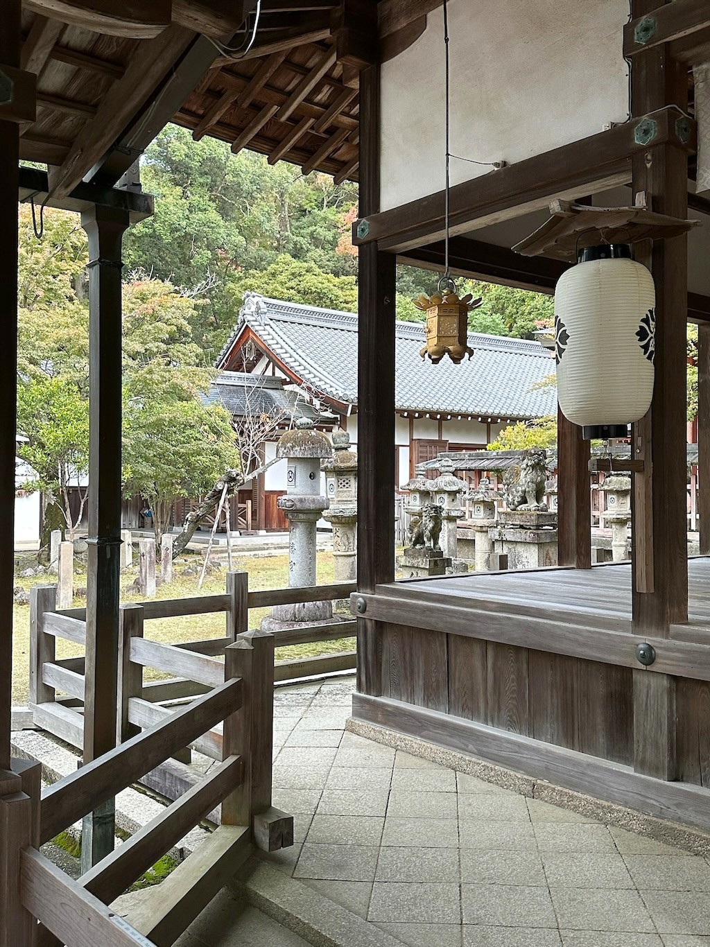 Japan 2023 — photo 323