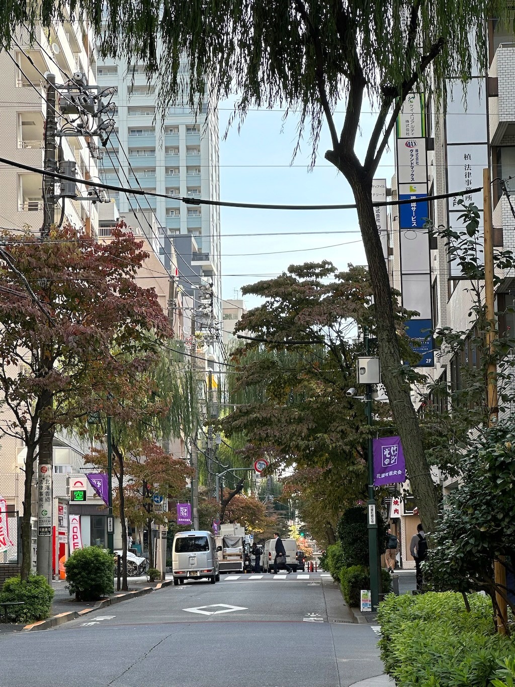 Japan 2023 — photo 33
