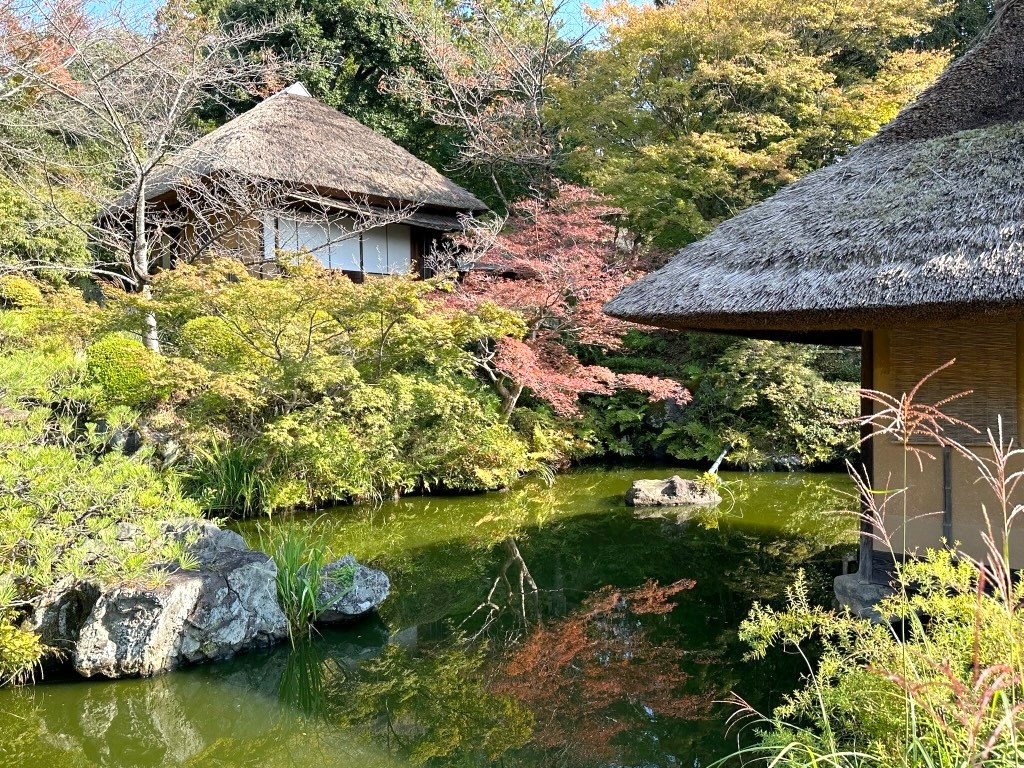 Japan 2023 — photo 365