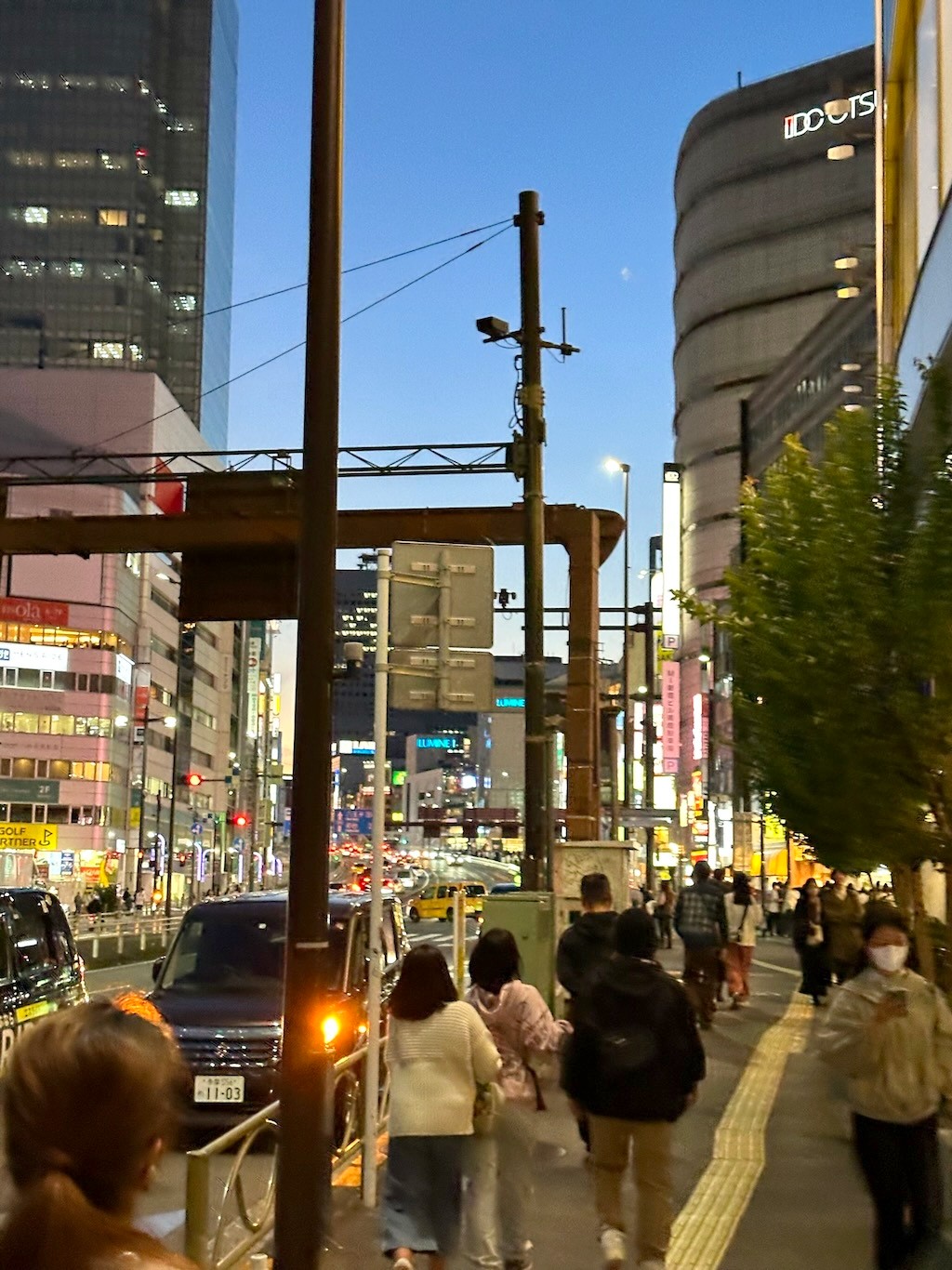 Japan 2023 — photo 201