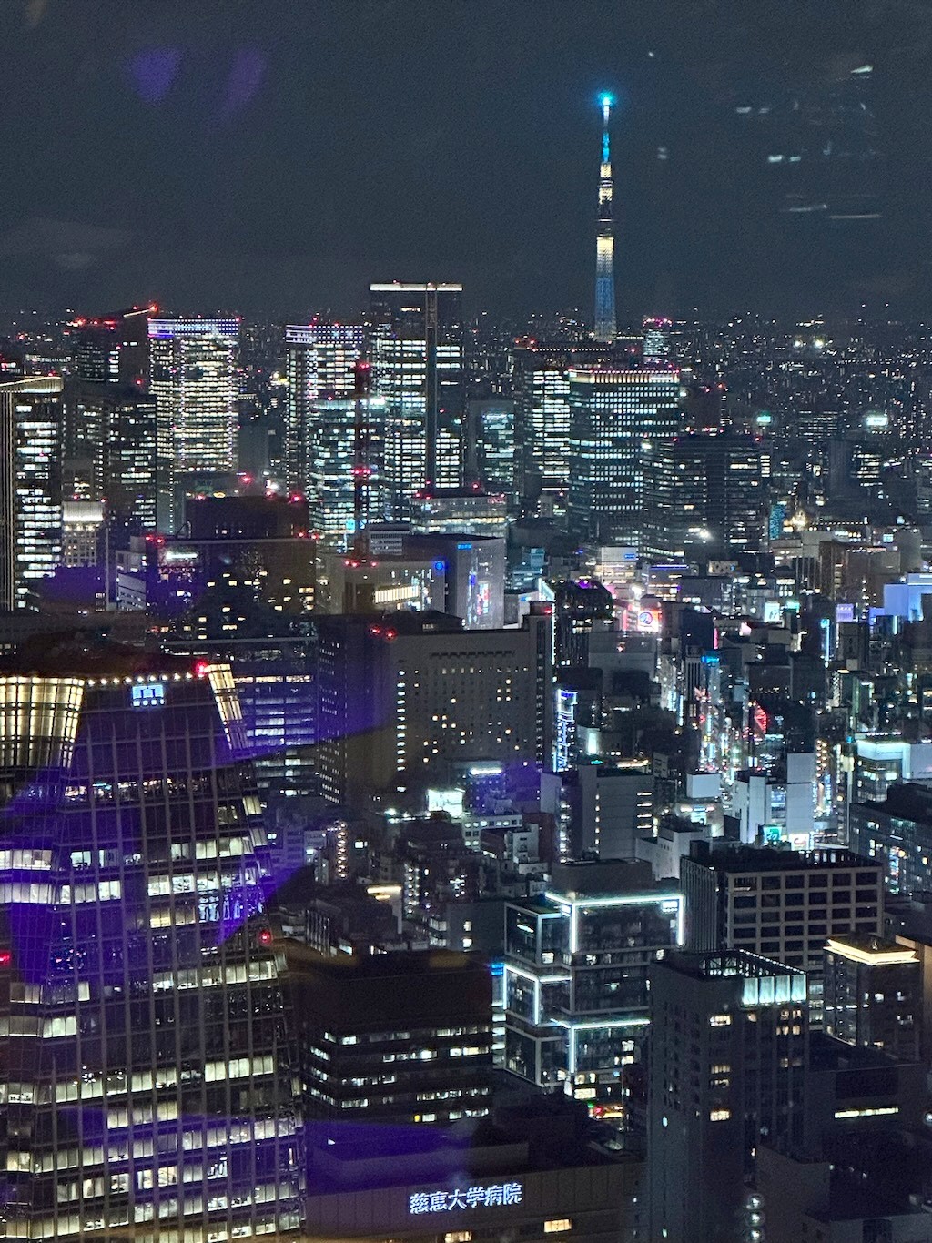 Japan 2023 — photo 88