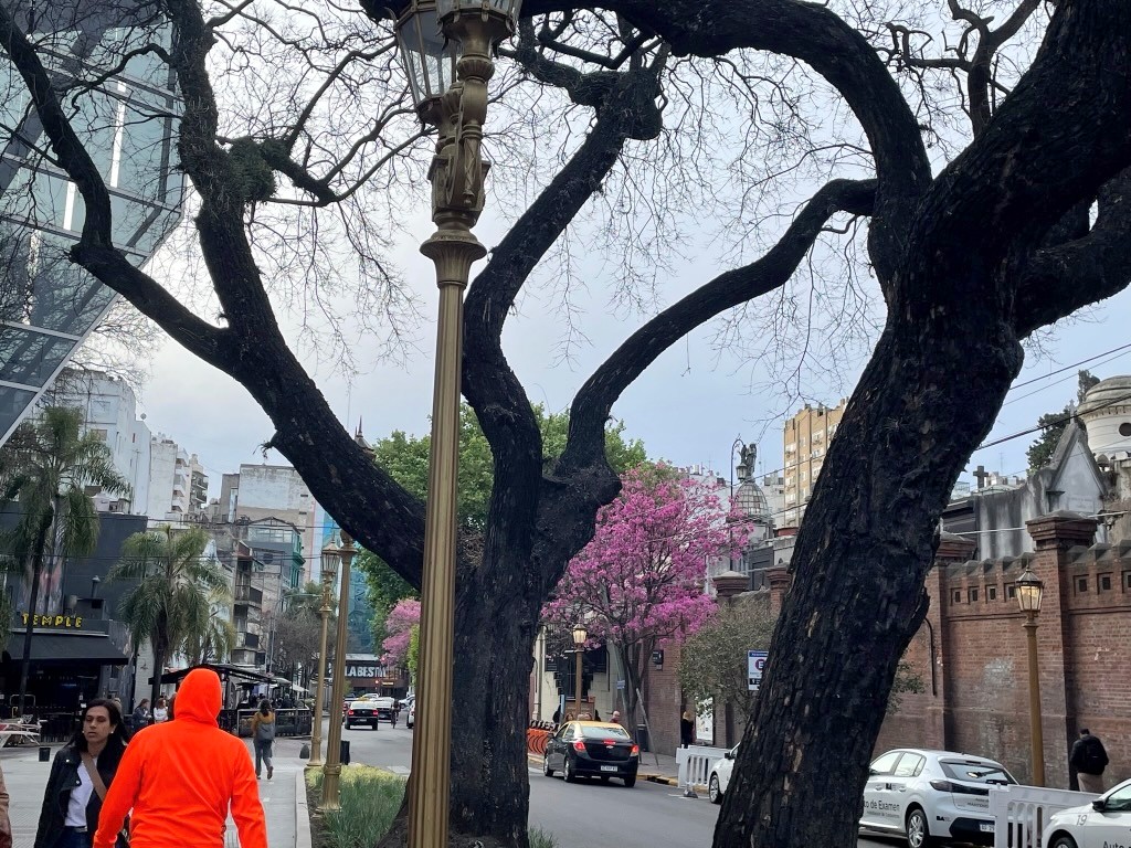 Argentina 2022 — photo 156