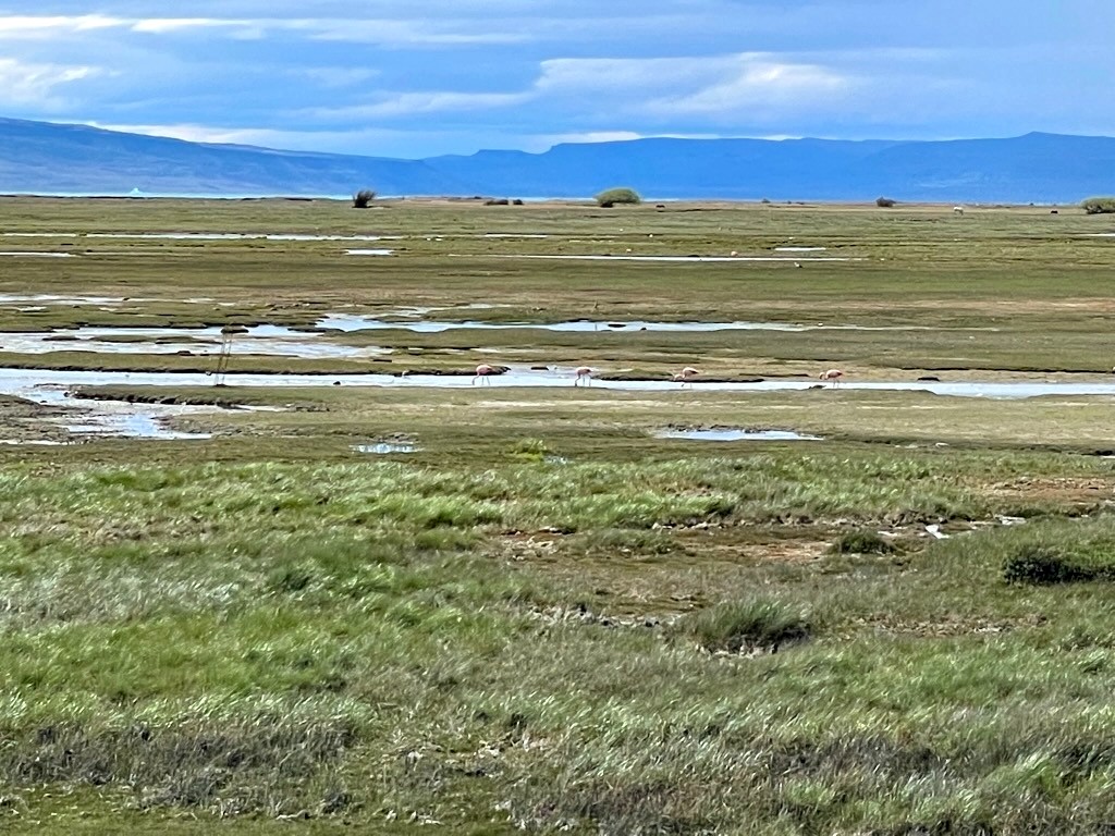 Argentina 2022 — photo 431