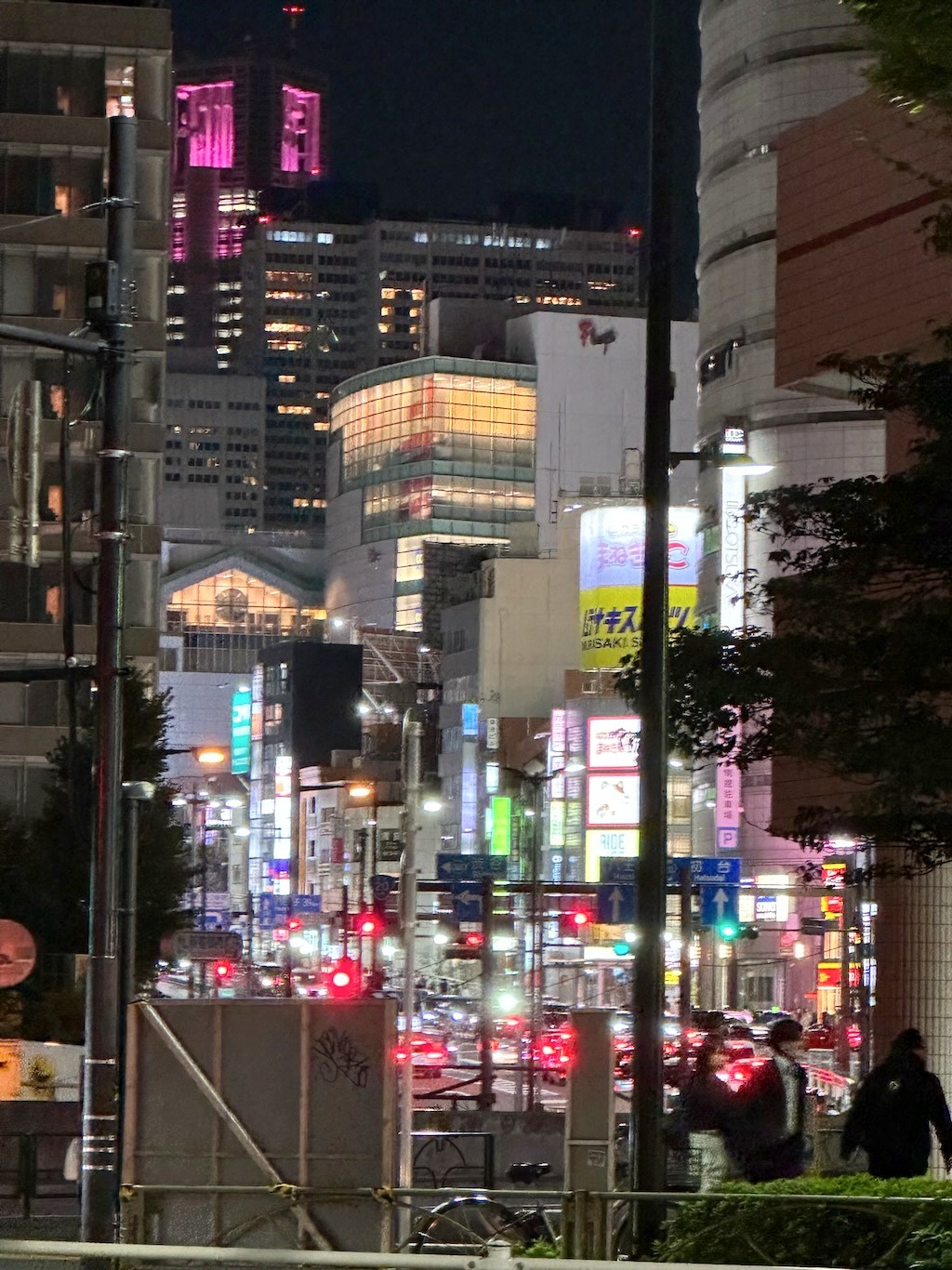Japan 2023 — photo 9