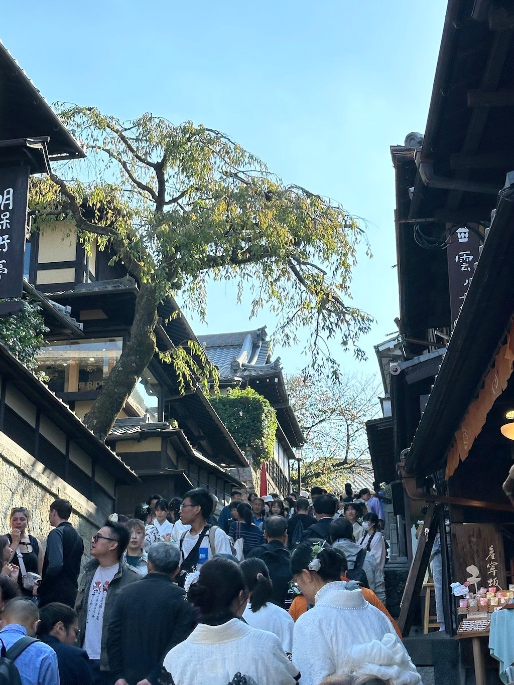 Japan 2023 — photo 366