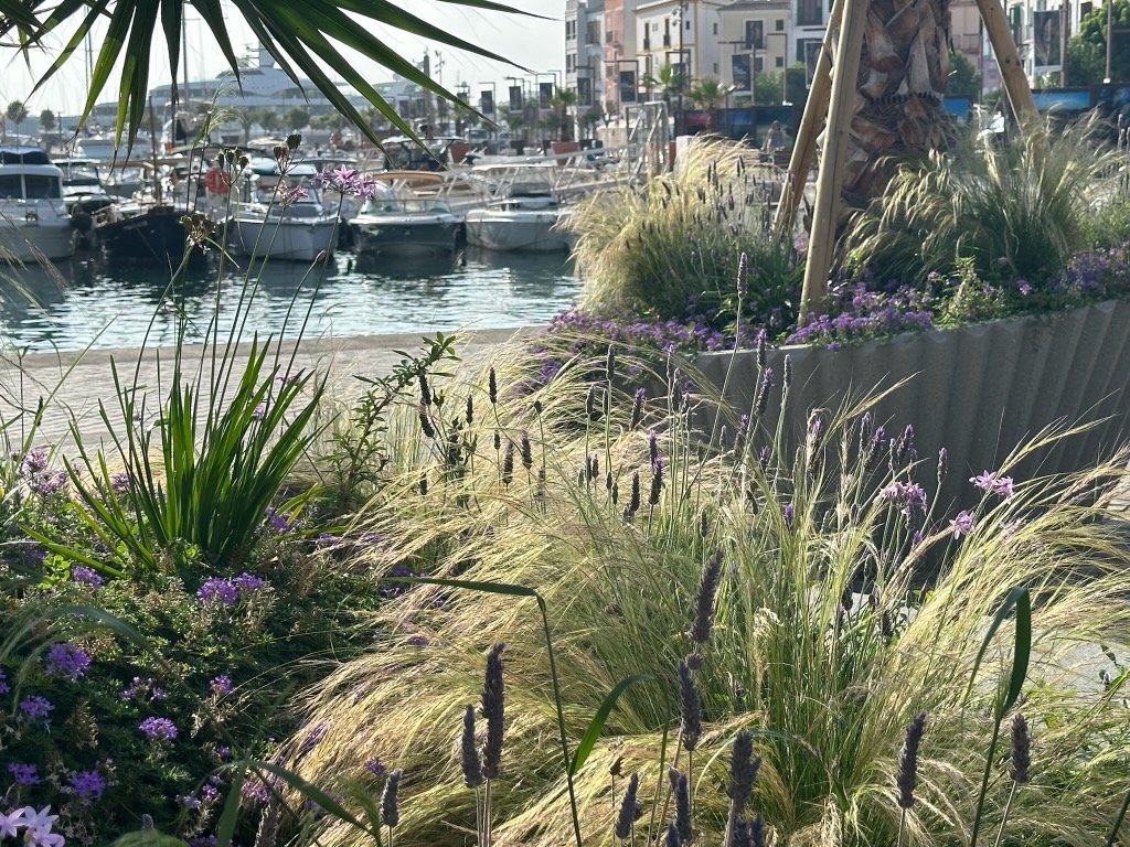 Mediterranean 2024 — photo 234