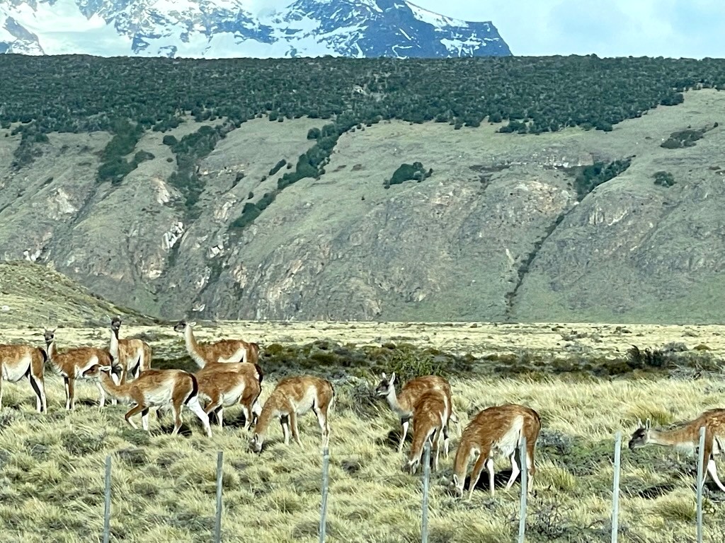 Argentina 2022 — photo 382
