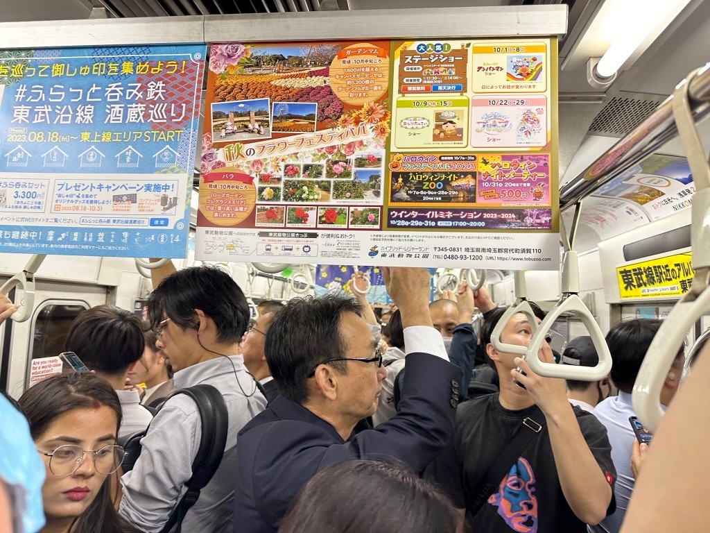 Japan 2023 — photo 140