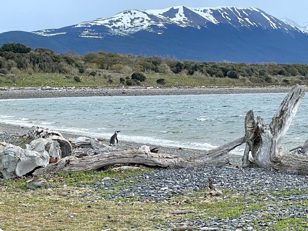 Argentina 2022 — photo 319
