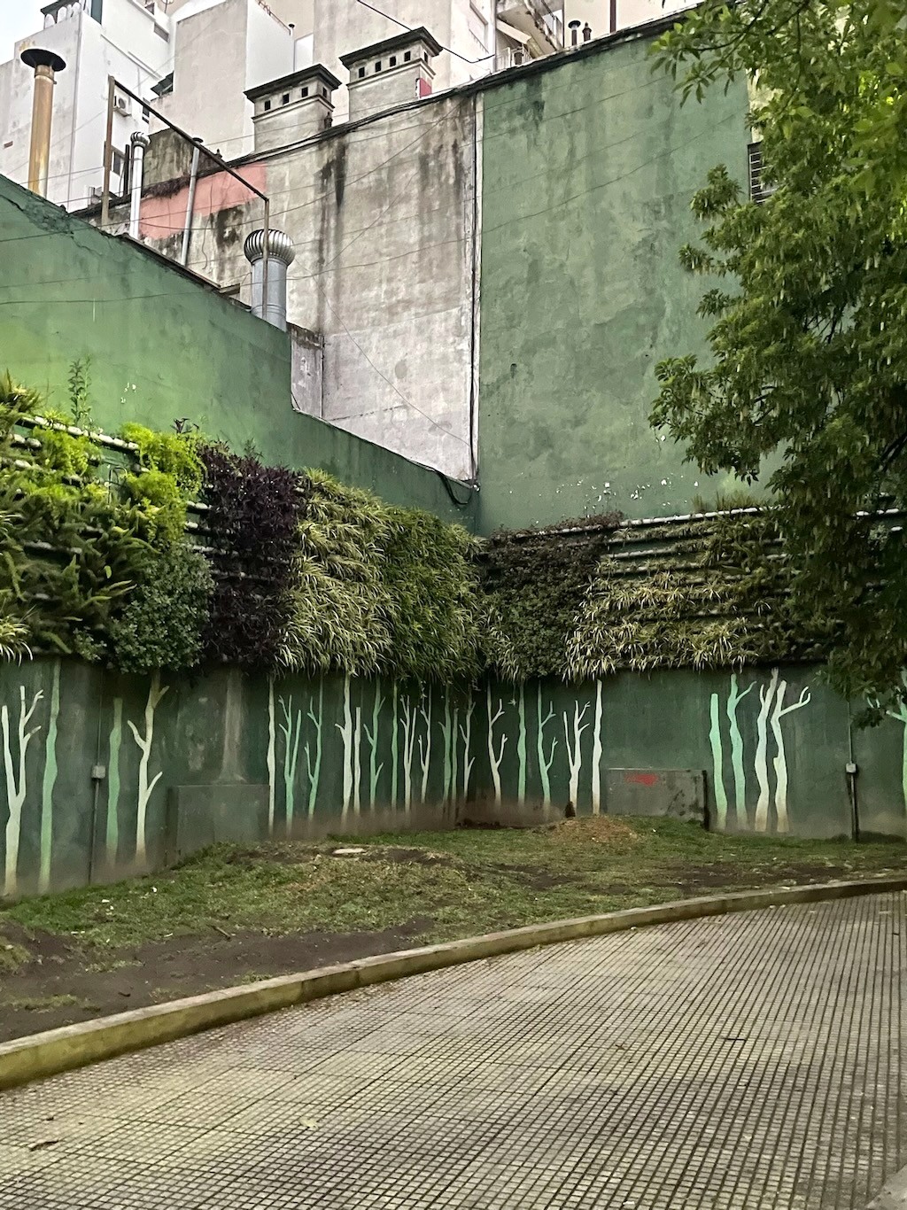 Argentina 2022 — photo 207