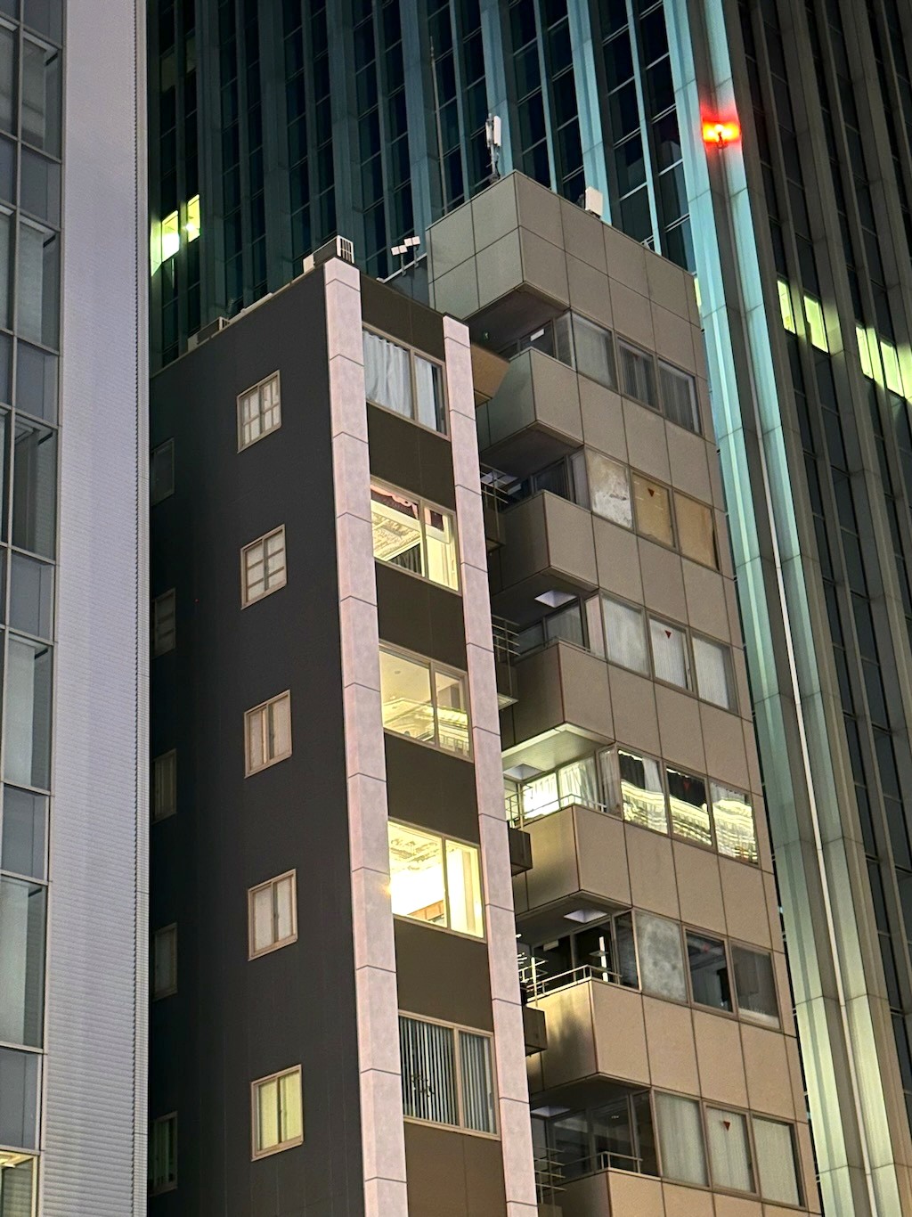 Japan 2023 — photo 403