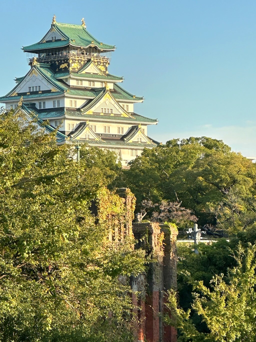 Japan 2023 — photo 277