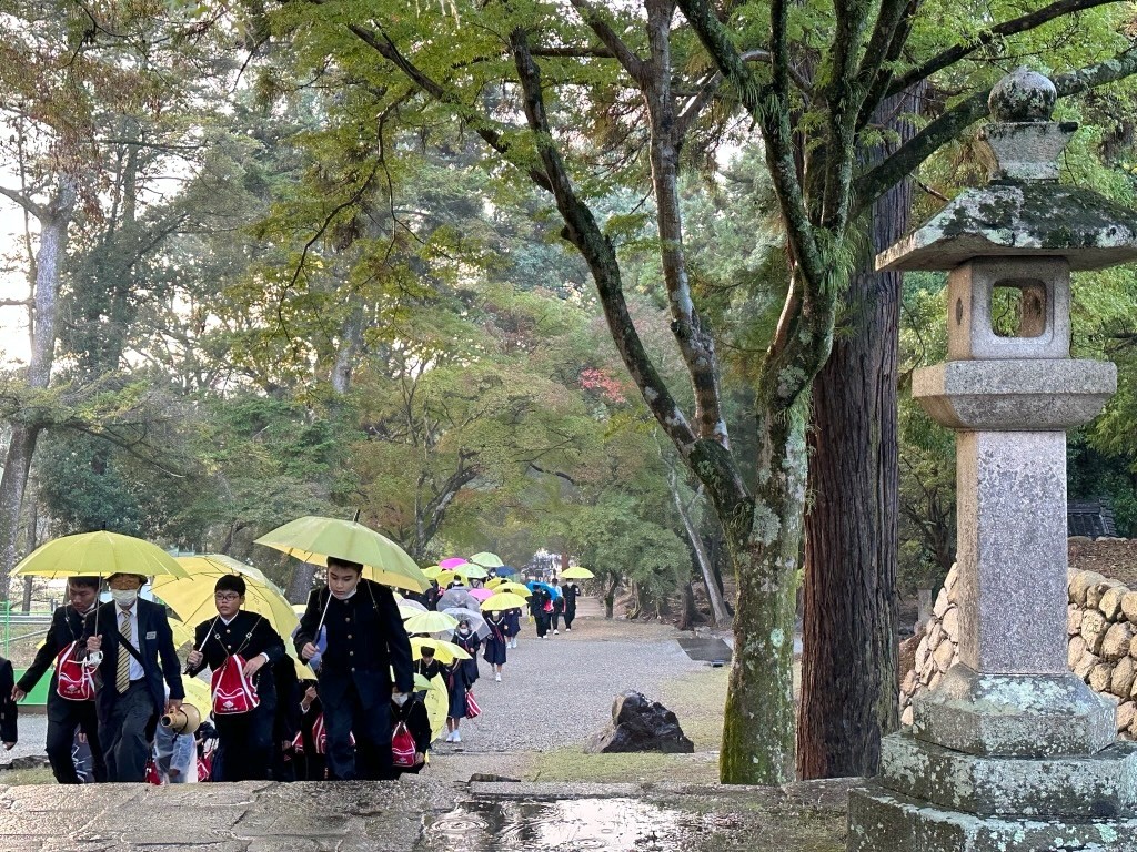 Japan 2023 — photo 329