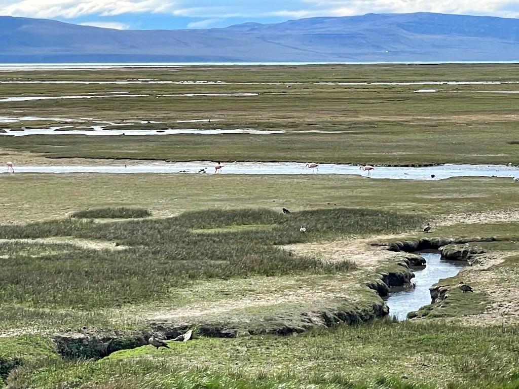 Argentina 2022 — photo 429