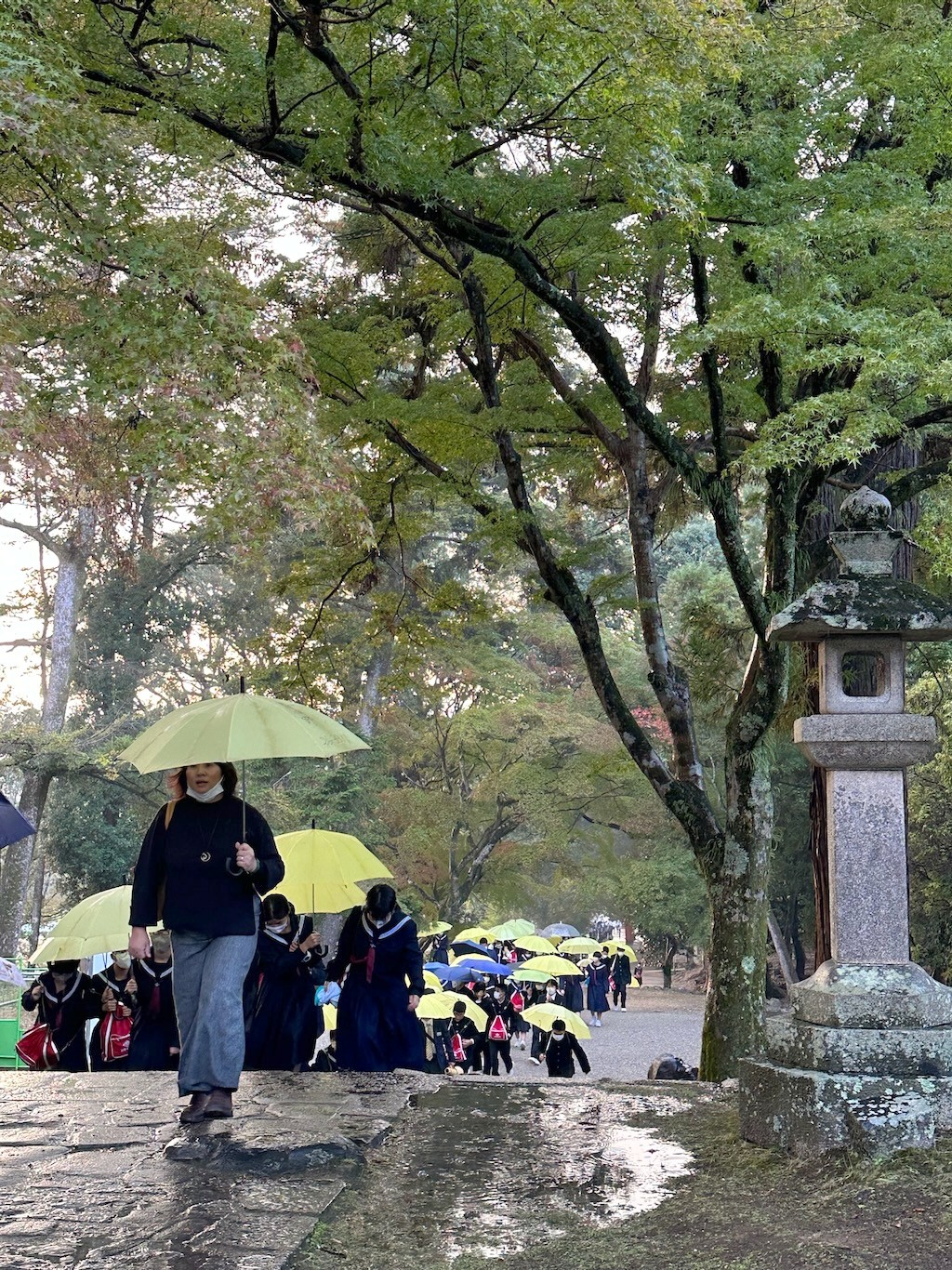 Japan 2023 — photo 327