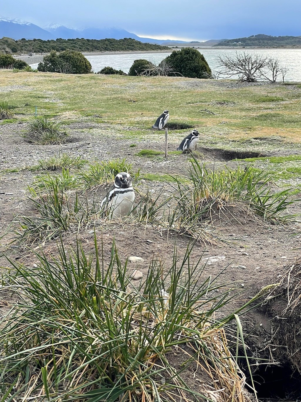 Argentina 2022 — photo 320