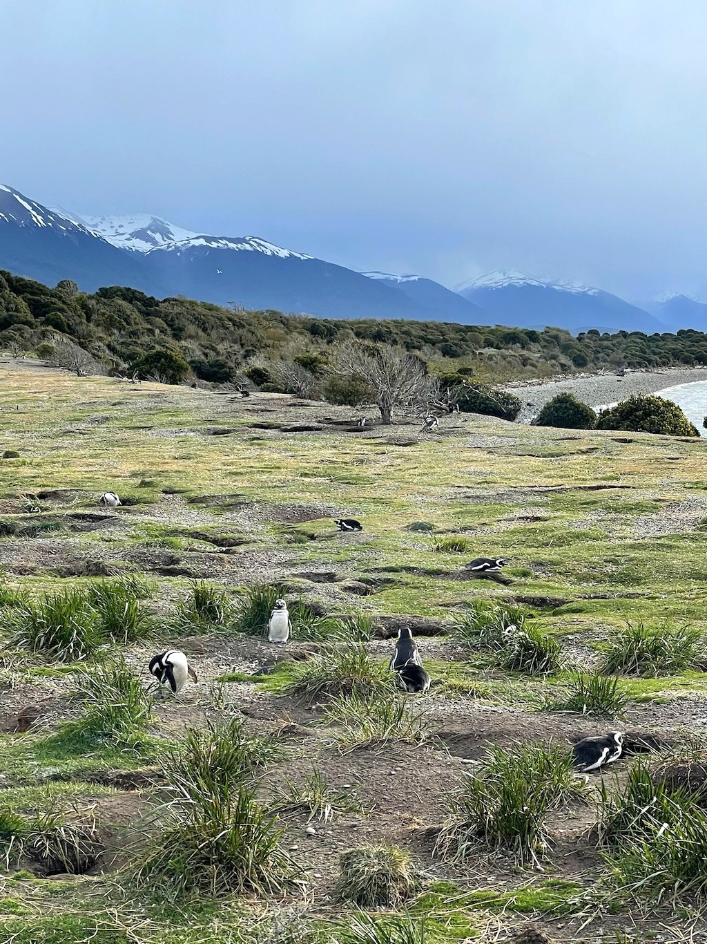 Argentina 2022 — photo 322