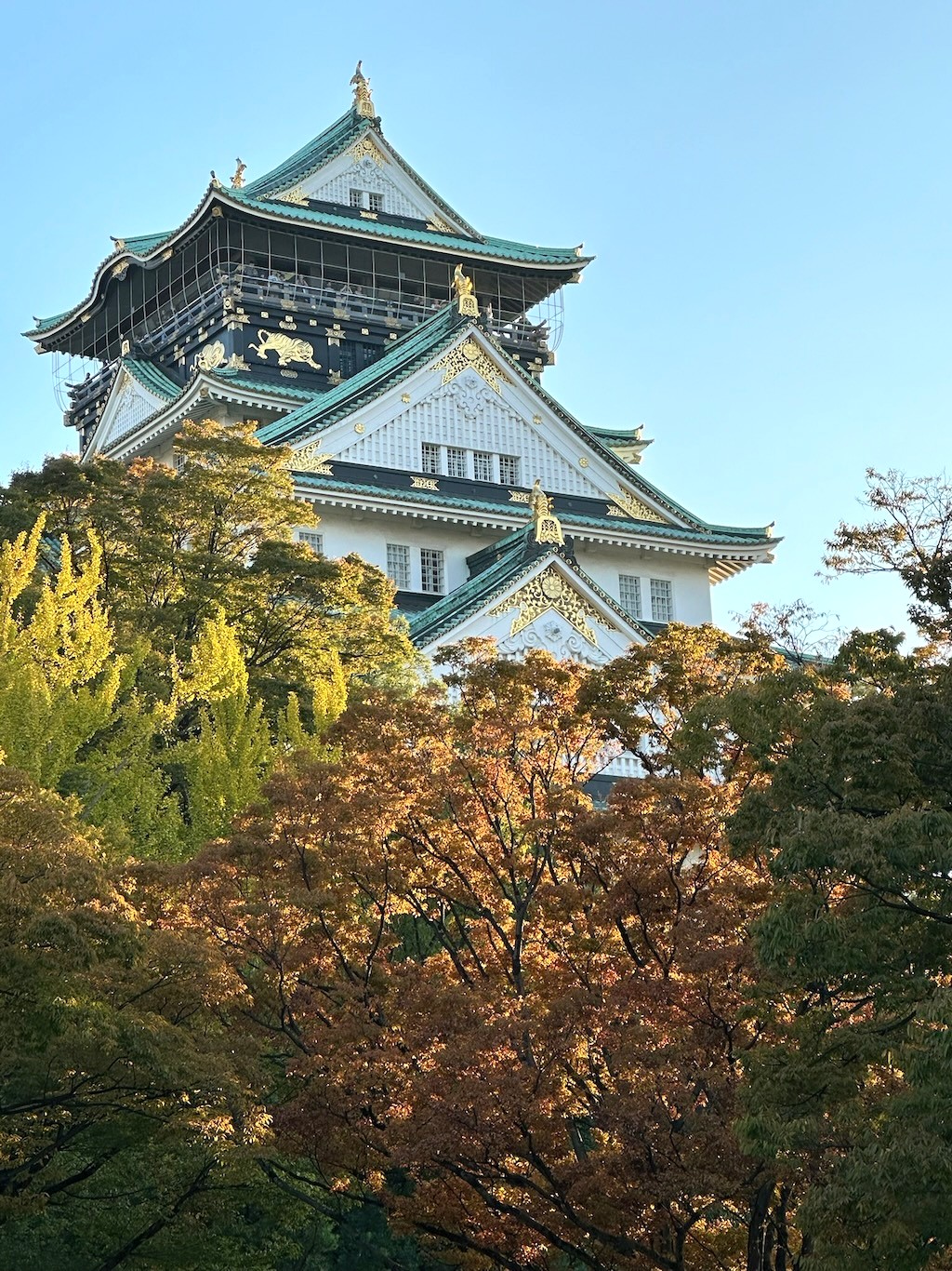 Japan 2023 — photo 281