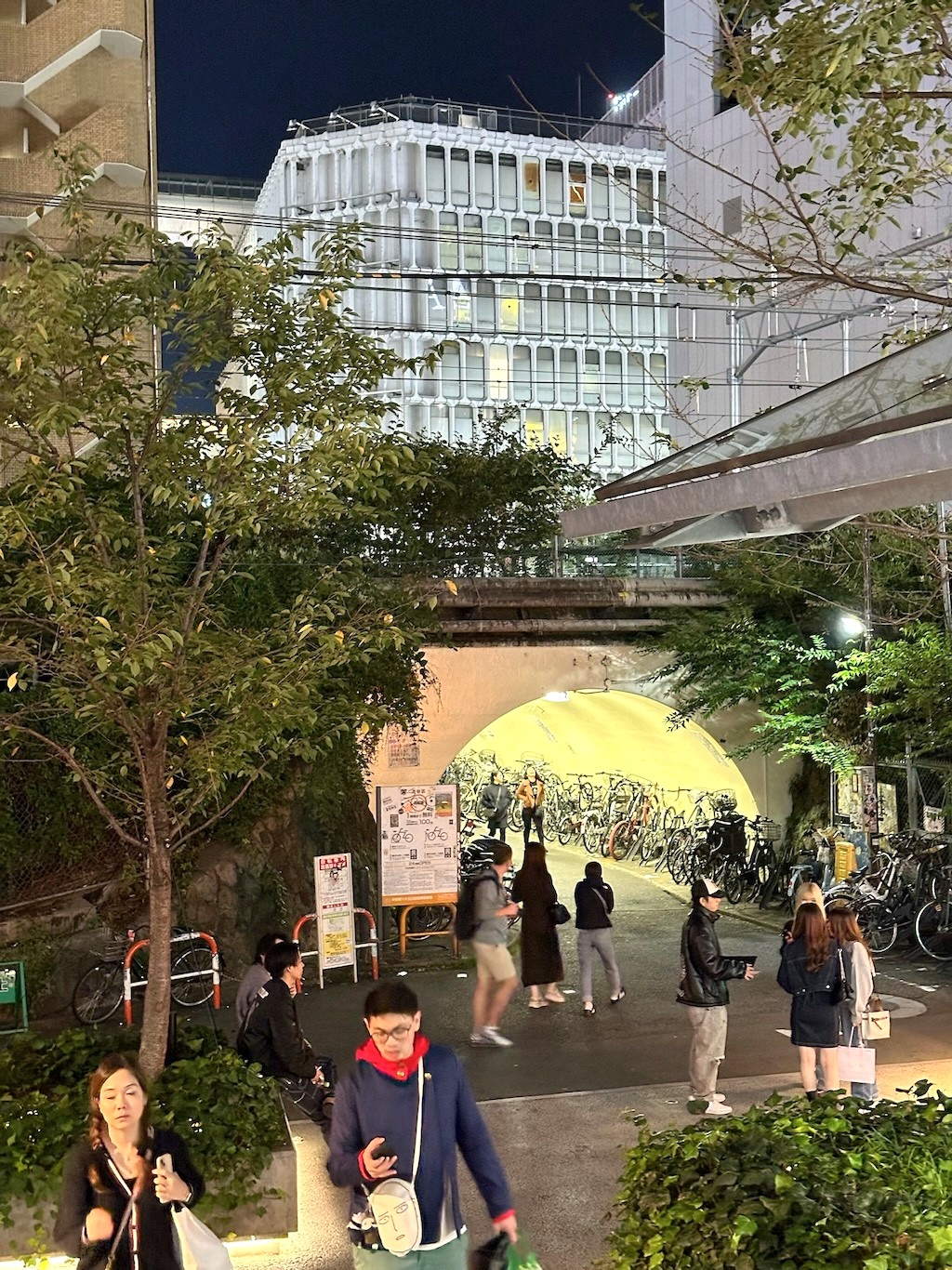 Japan 2023 — photo 218