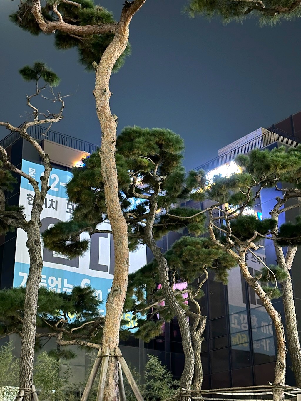 Japan 2023 — photo 419