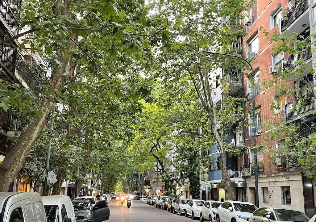 Argentina 2022 — photo 297