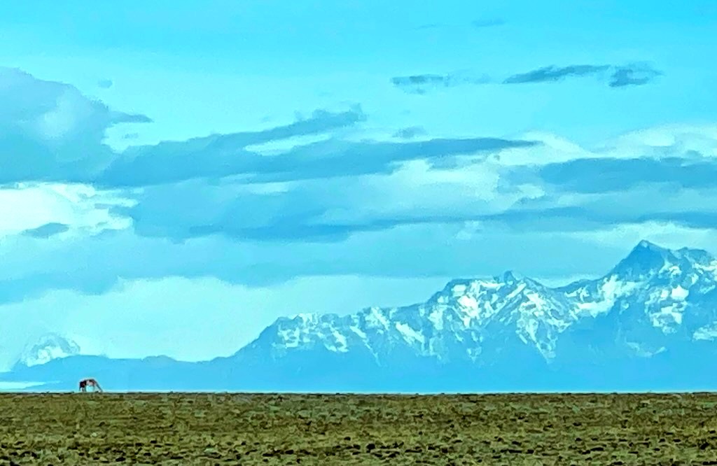 Argentina 2022 — photo 369