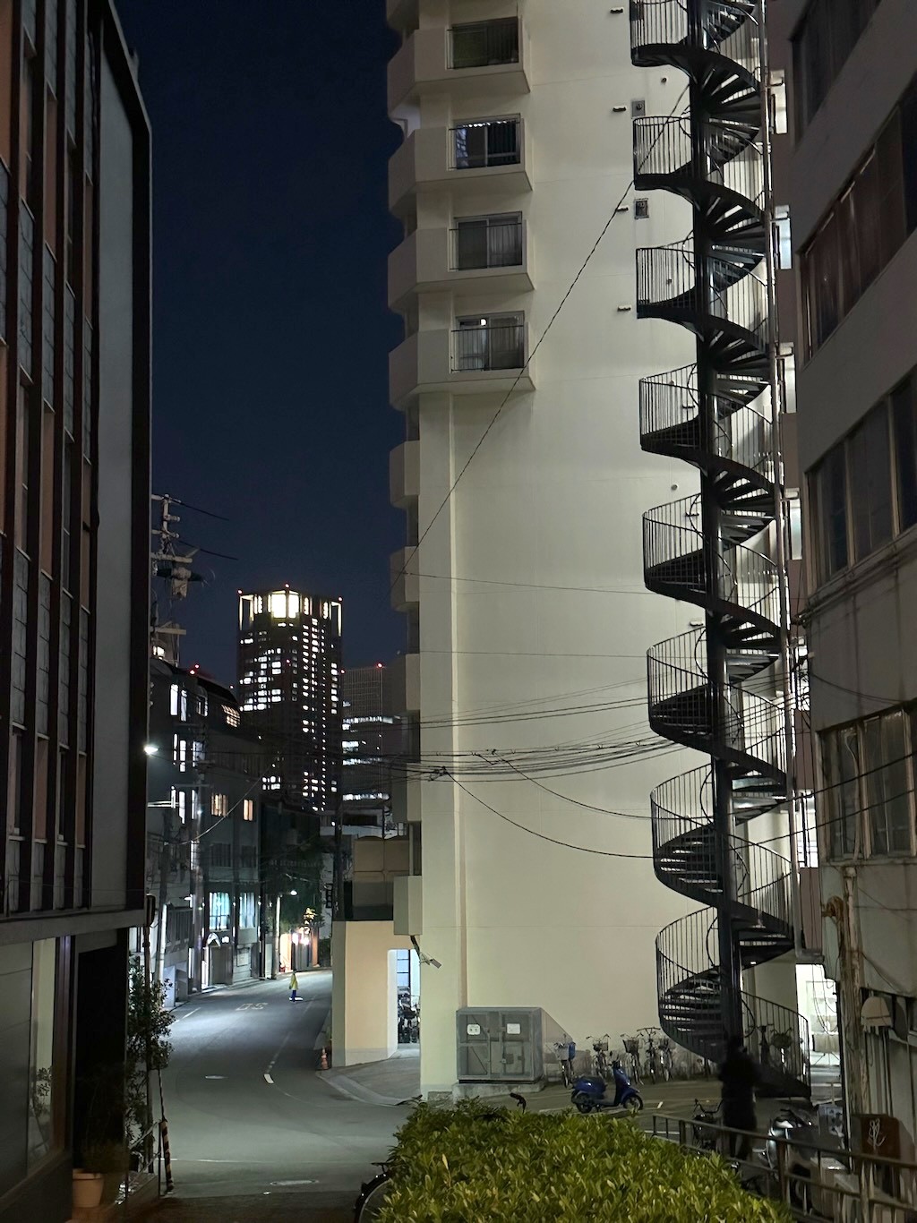Japan 2023 — photo 249