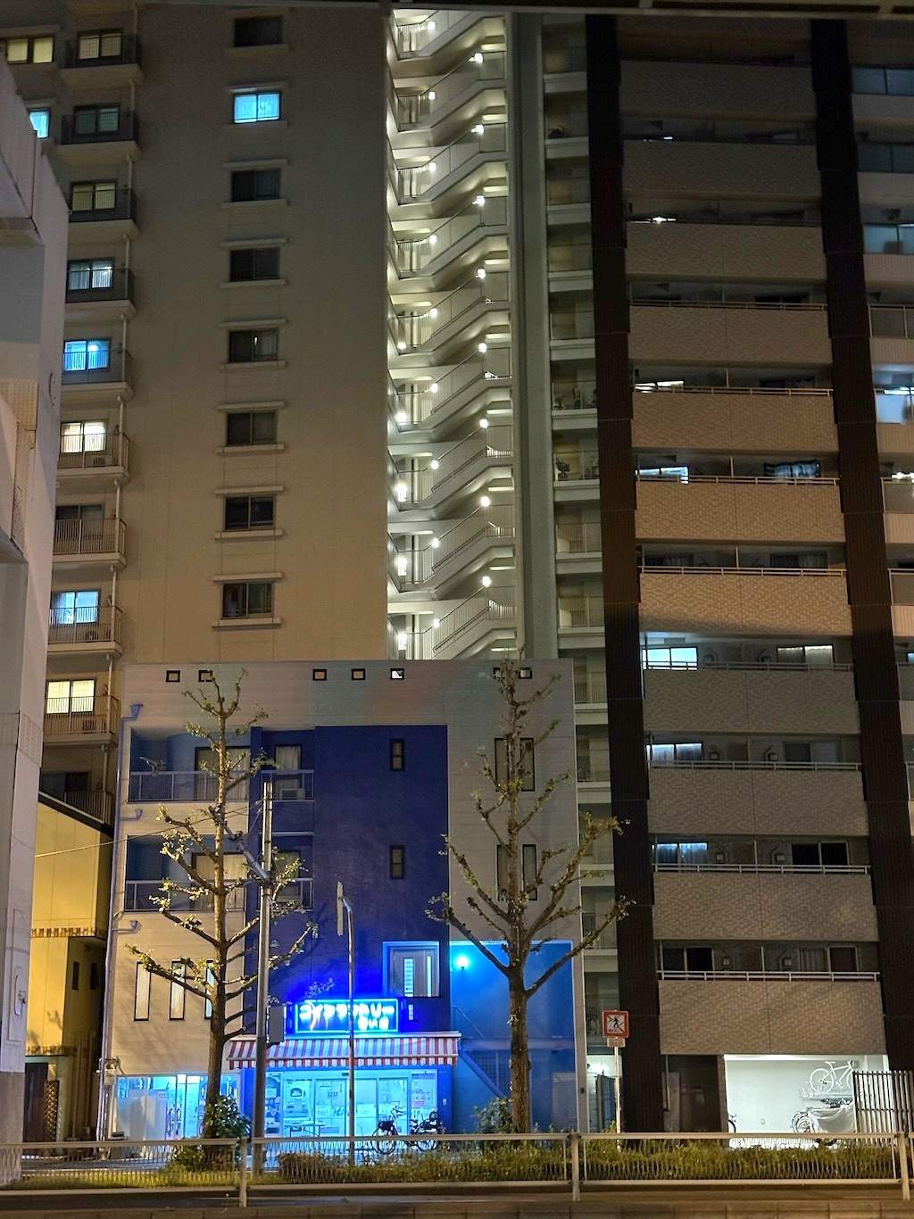 Japan 2023 — photo 248