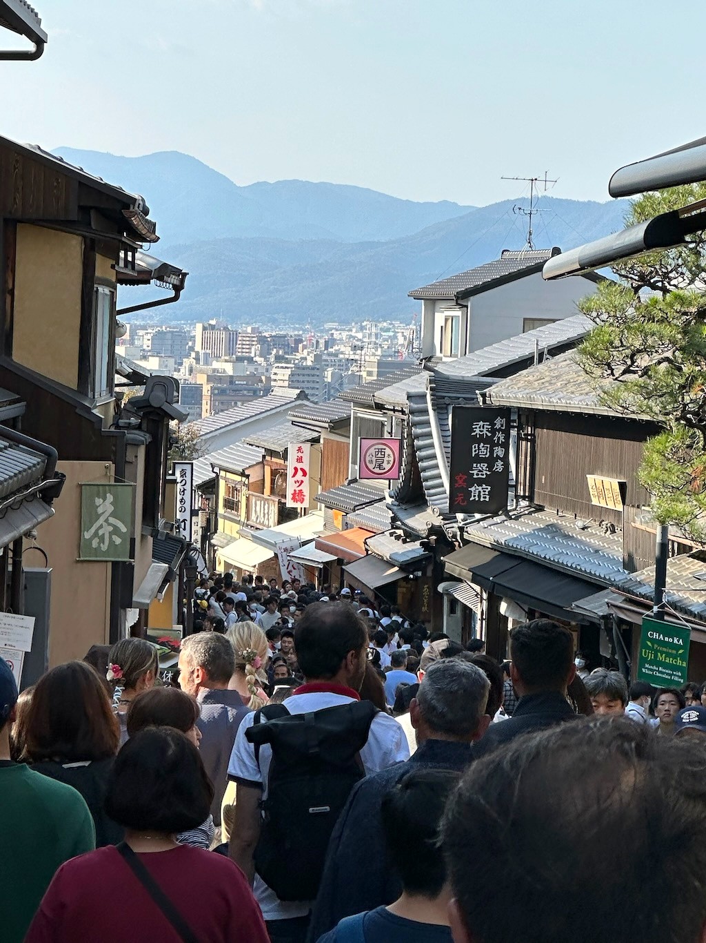 Japan 2023 — photo 368