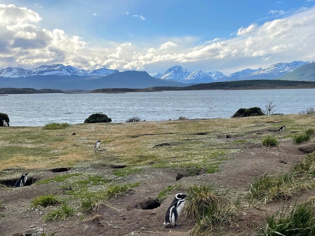 Argentina 2022 — photo 325