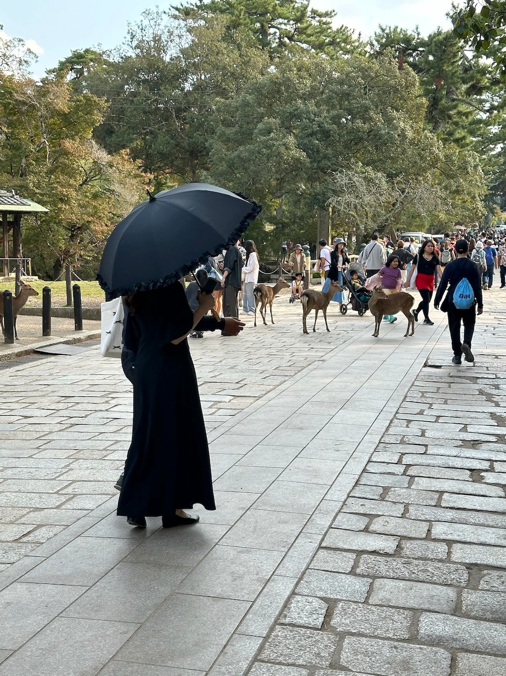 Japan 2023 — photo 303